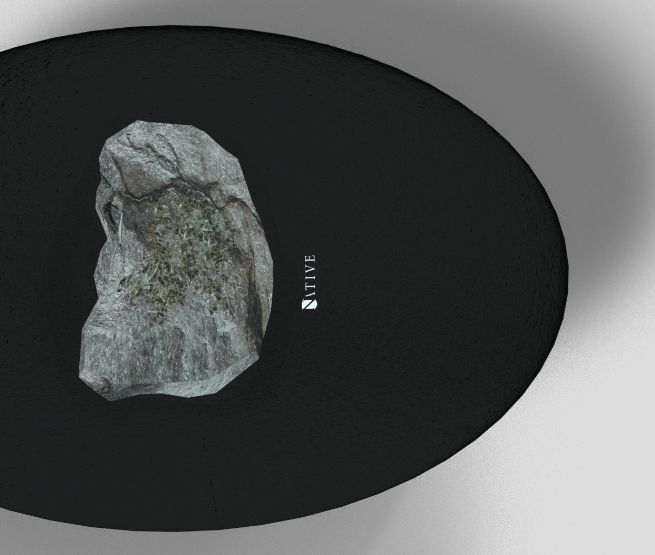 Native — Branding e concept design (2)